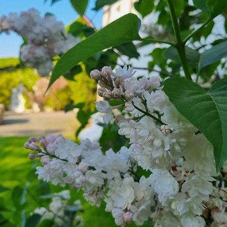 Вілла Folwark Leszczynowka Сребрна-Ґура Екстер'єр фото