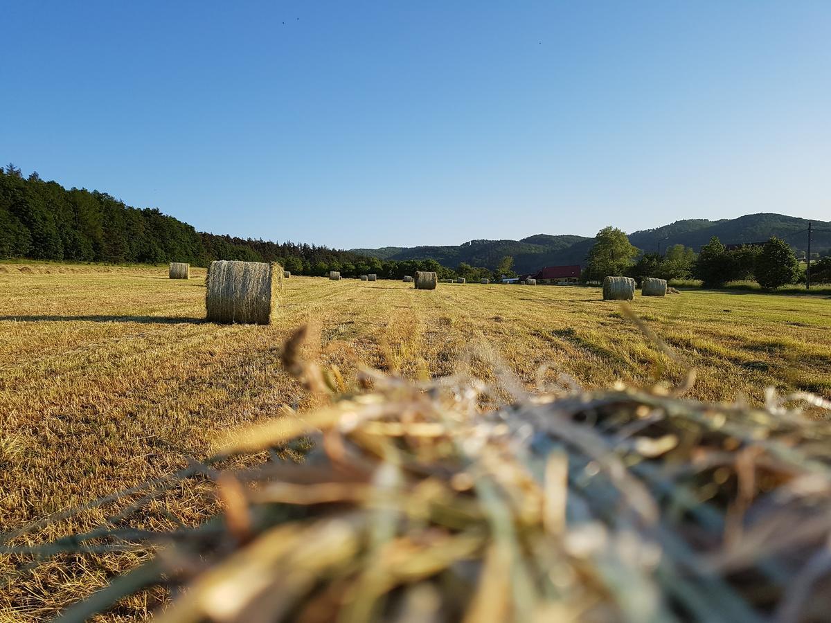 Вілла Folwark Leszczynowka Сребрна-Ґура Екстер'єр фото